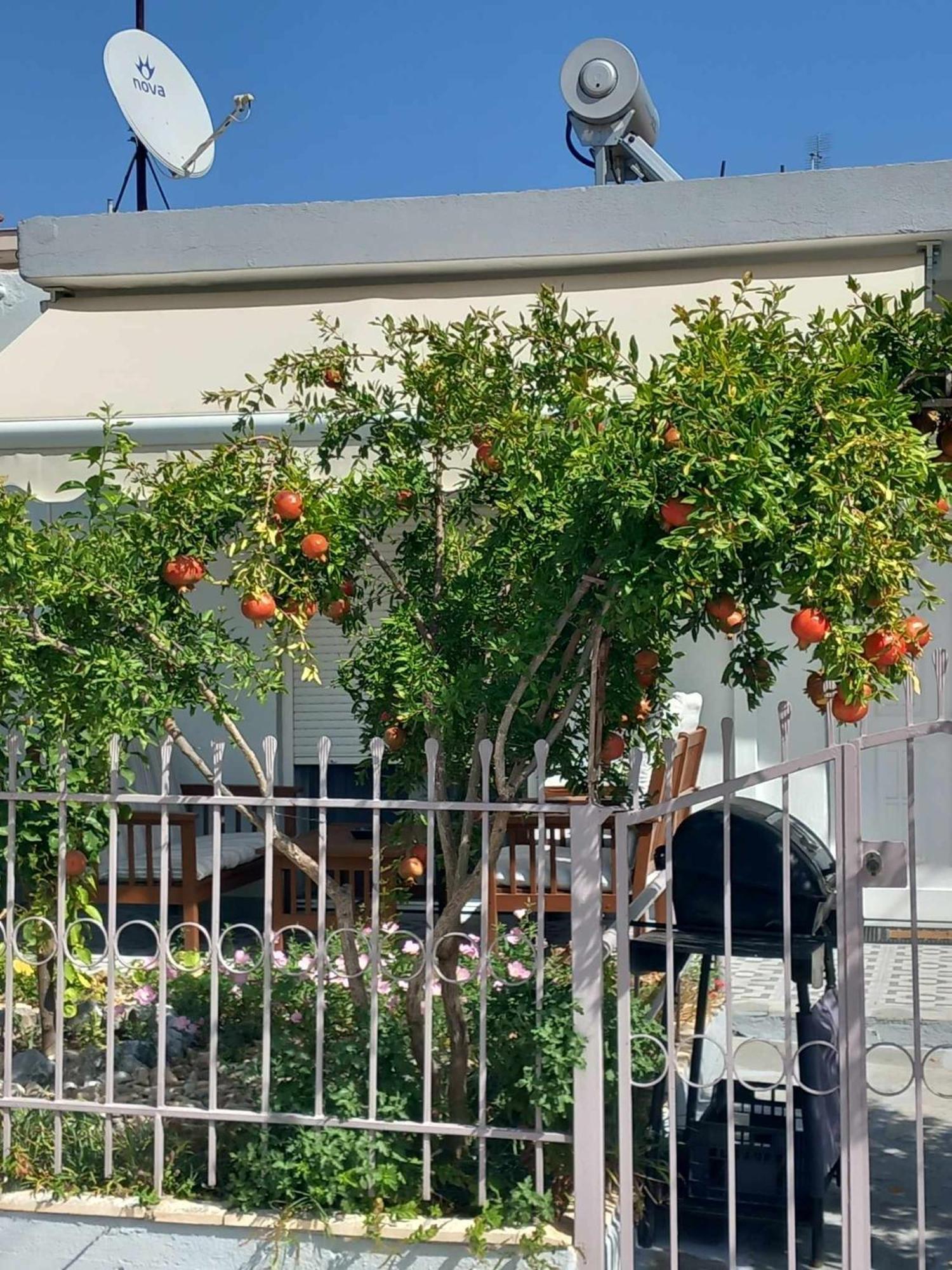 Anastasia'S Home Néa Péramos Dış mekan fotoğraf